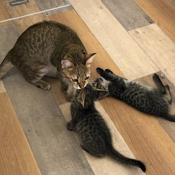 725280e7 6d81 4b0c b161 cebfe475551c 1602724035576