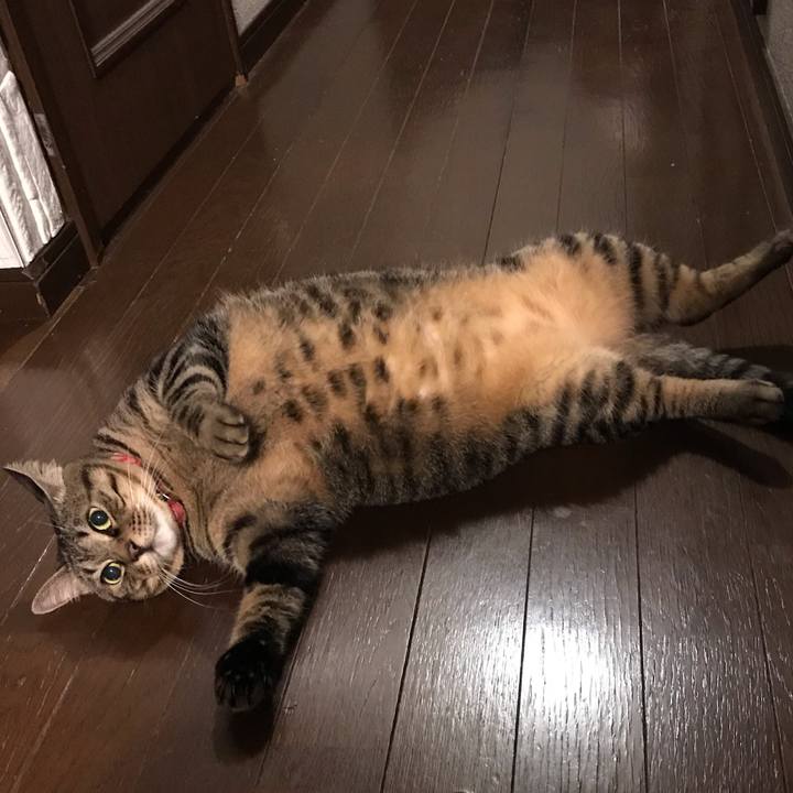 7252b3bf ed70 4ca8 9eb1 35cc9d72151c 1584792952539