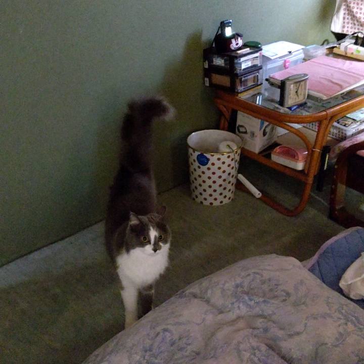 7252b4ee 4c94 4fae aa4c 4875518cb618 1603008500991