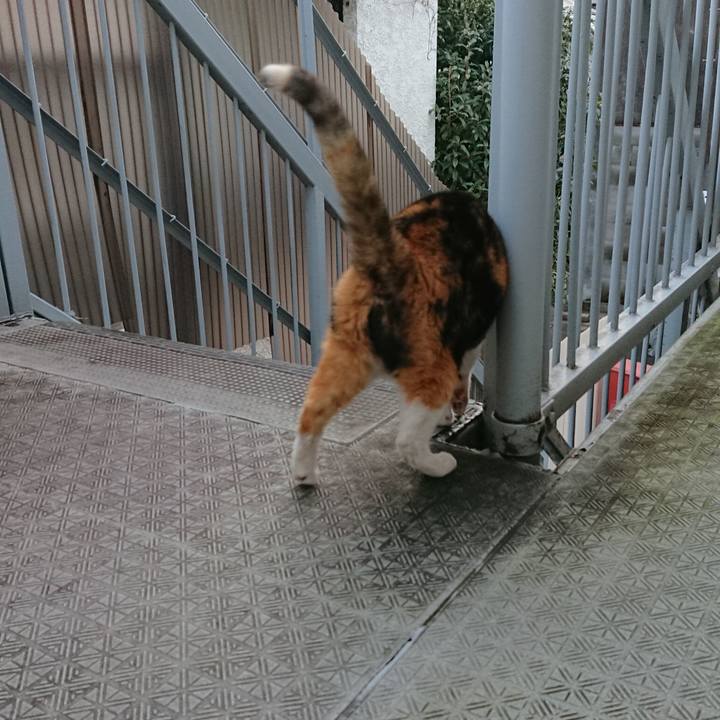 7252c2bd e977 45e9 b079 3478f5d64923 1551741943475