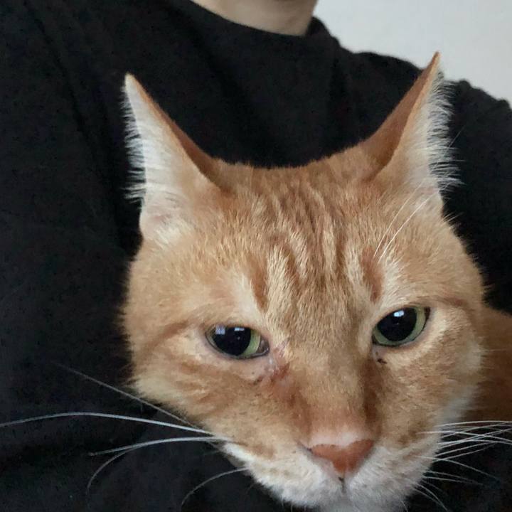 7252dc43 36c4 4f5b abf8 3b21bbfe1d50 1639346461171