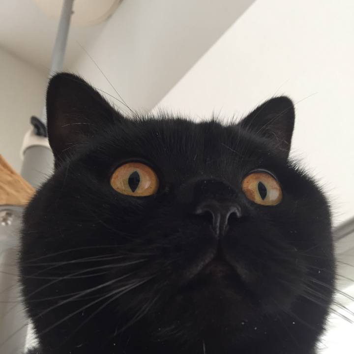 7252ddbd a1bf 40d4 8b39 7baae4942888 1557737392450