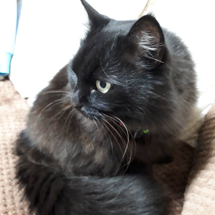 7252ea46 da43 41fe 9eed 7d4ae86b87e2 1519337095507