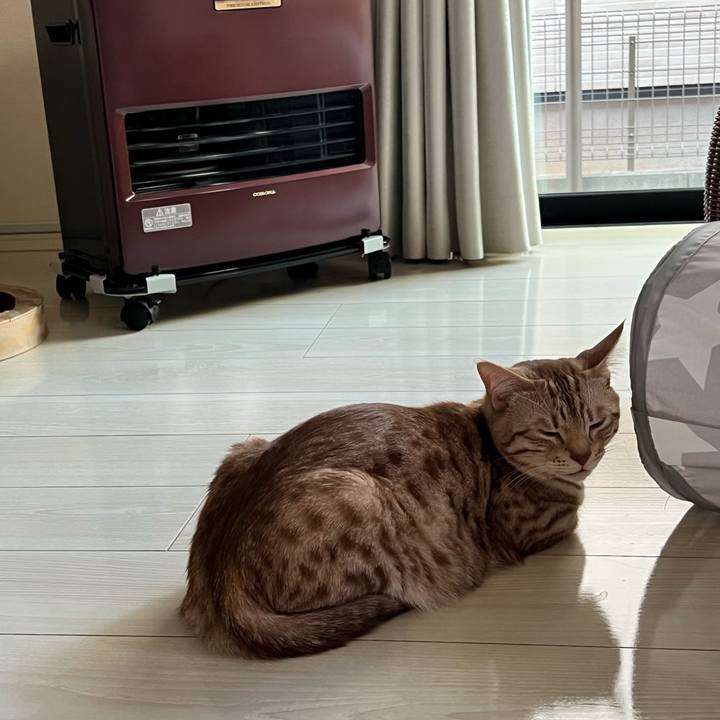 7252f6d3 66a6 4251 8f95 e2a5182d8334 1672963933695