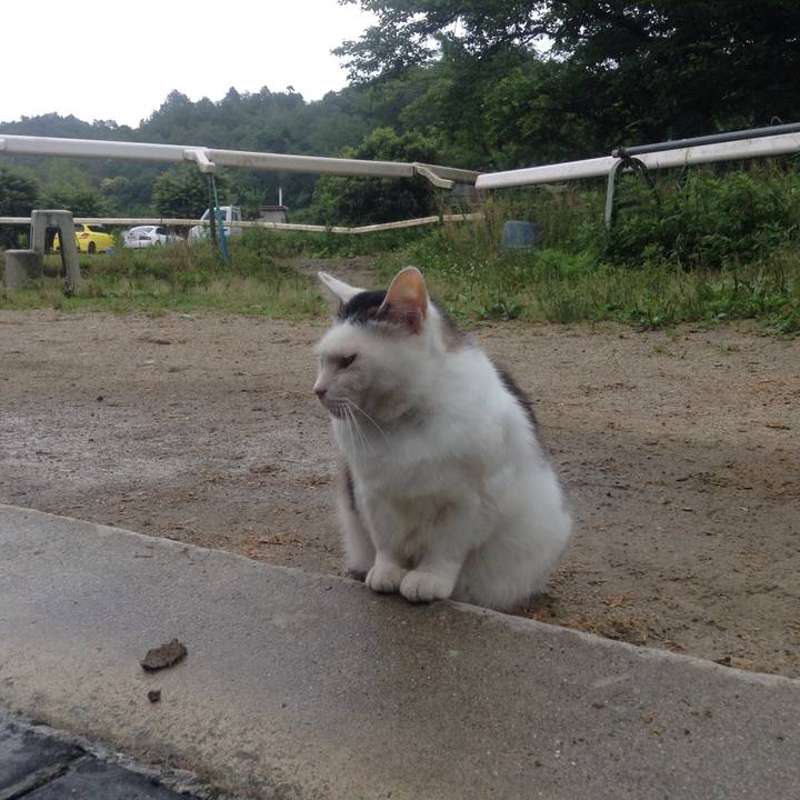 7252fc7e 18f7 49bd a359 f6910ab5fb9e 1528617352582