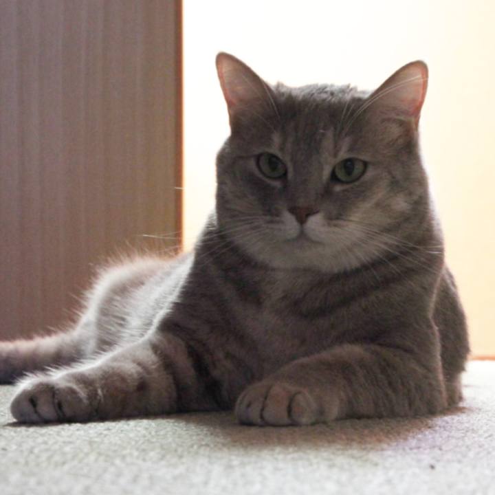 7252ff46 6c61 4dc7 9728 6f967ed78adc 1632128986671