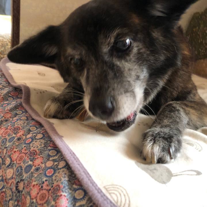 72534e28 7c27 4250 8178 ee127f245cb4 1695112085226