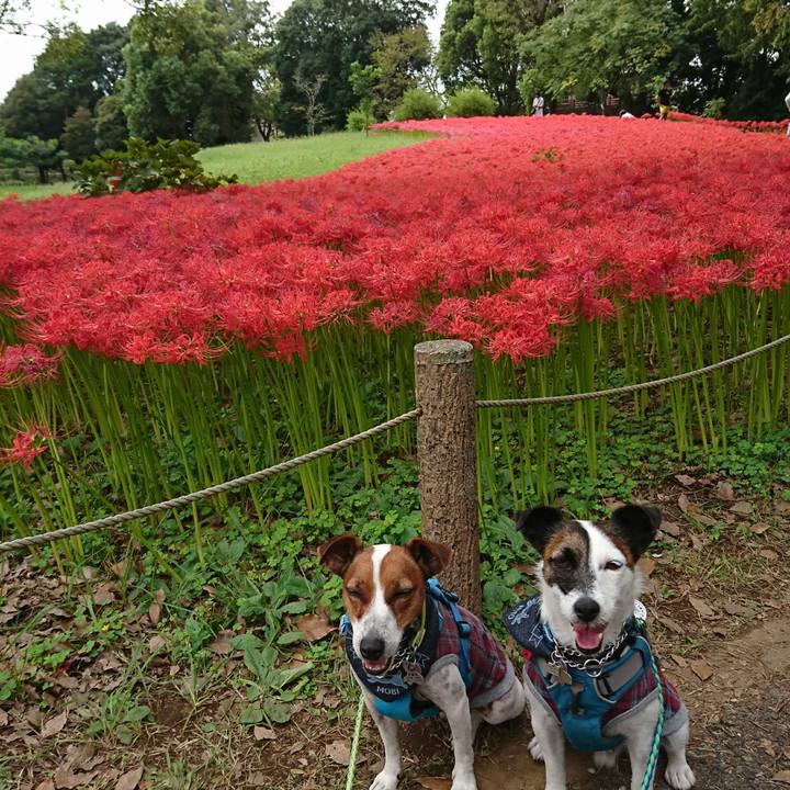 72537193 18ac 4362 8274 cfd043948c53 1601701445080