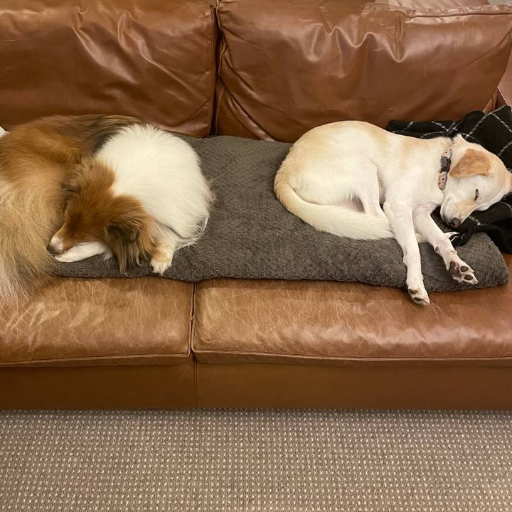 72538531 e049 479c b9cc 3a53eec75cdb 1634310058175