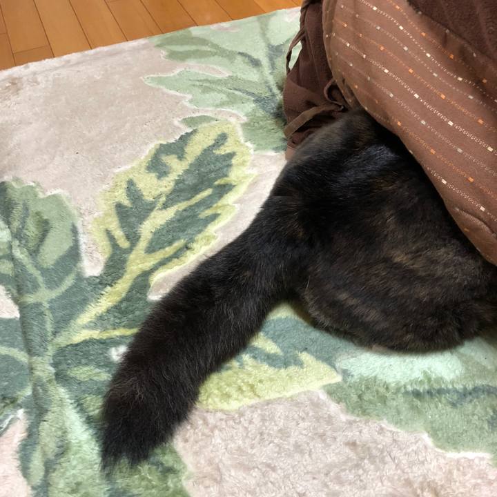 72538e7e a890 4be7 9b2c e0b28453fa0a 1526551752877