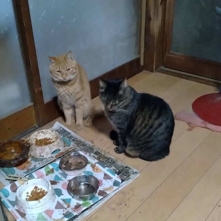 7253fc34 d924 4137 97a8 edc4a65f71c6 1668496588784