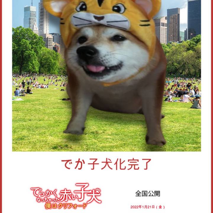 72541e33 30fa 4e73 83df 7421990a41a1 1643672927308