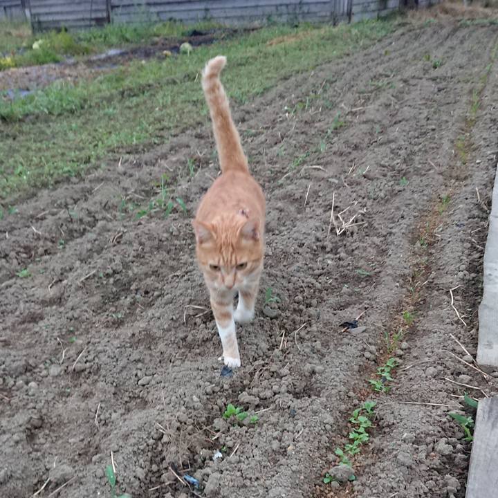 72542b6d d377 4340 a666 aac2c942d8ed 1568581217956