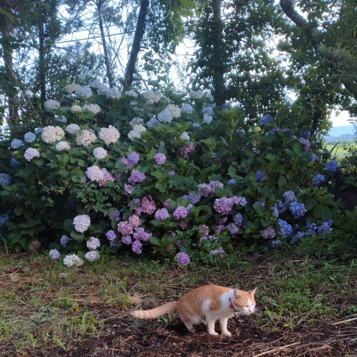 725464dd f322 4a3d 845f c6de72d70b4a 1753047858484