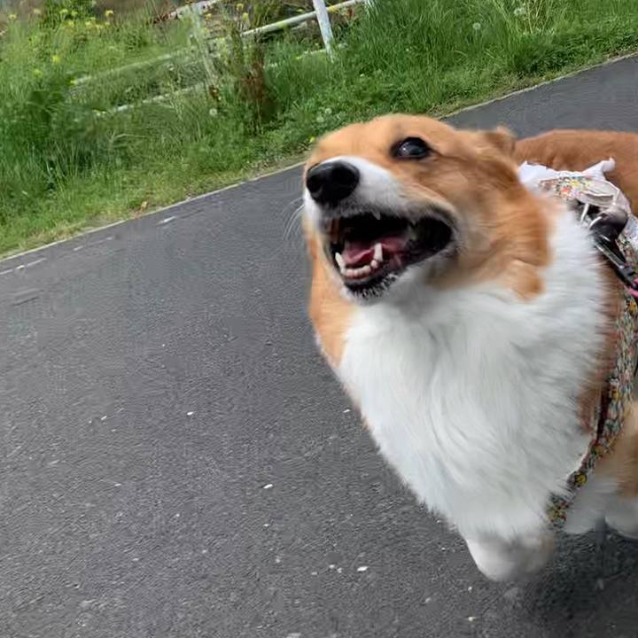 72546c44 a905 4f42 ac3c 2bfb2656e0a0 1650513125078