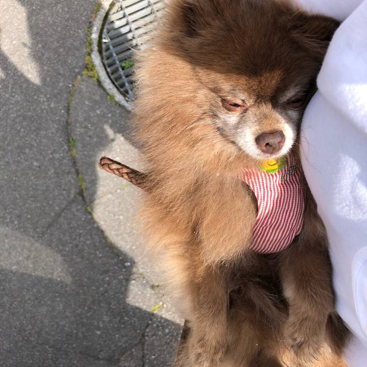 72549bd7 554d 436a 9461 e0ba3f859db3 1626051316304