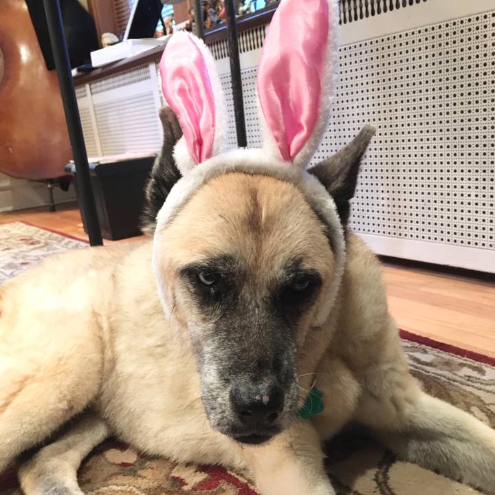 7254c148 5dcc 487b b20e dbe403b7dc30 1572573292975