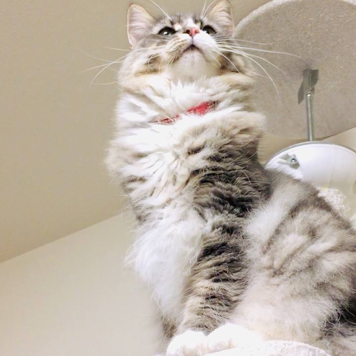 7254c4ab 18a6 4a61 a783 e7f49fbfeed4 1549994156587