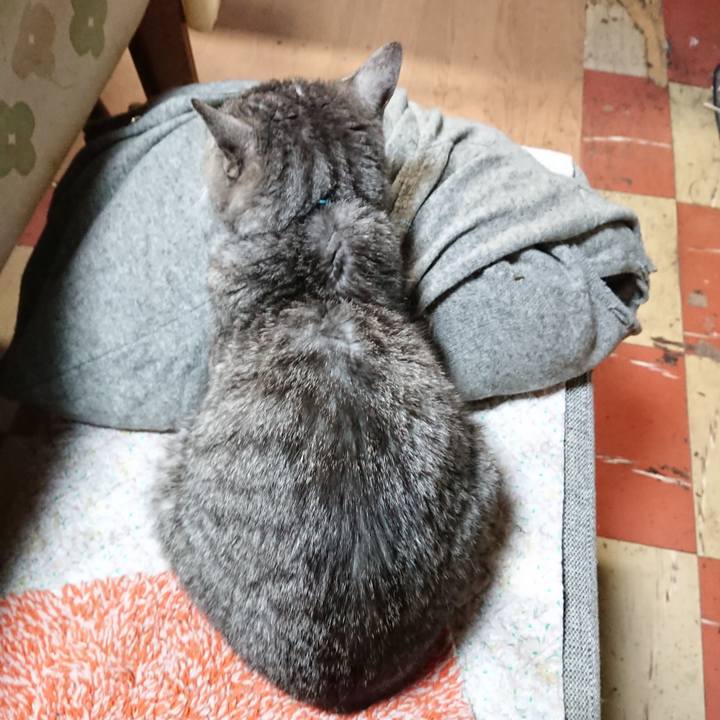 7254f9e1 4fed 4aac b2b8 8cea3a691410 1574505364913