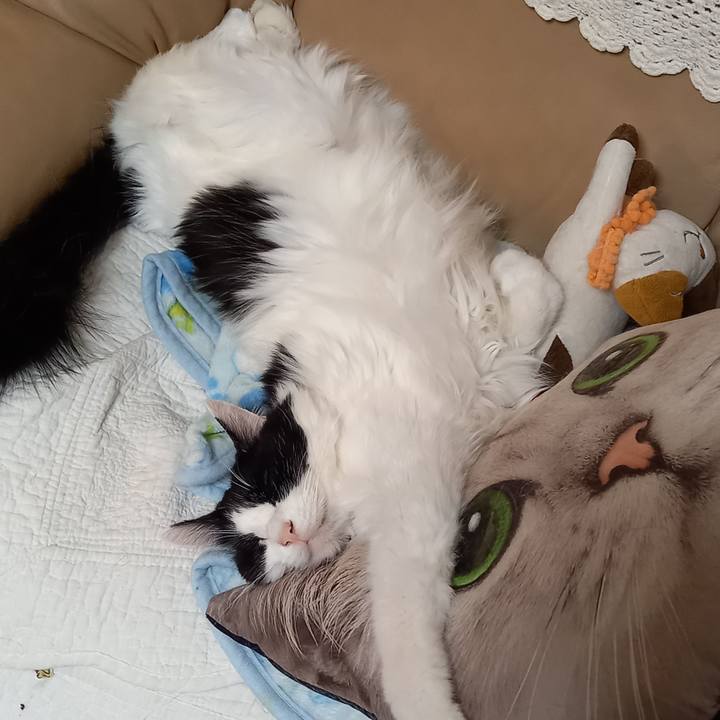 7254fb8e 5984 4892 8c4b e6839e19cd08 1642928720966