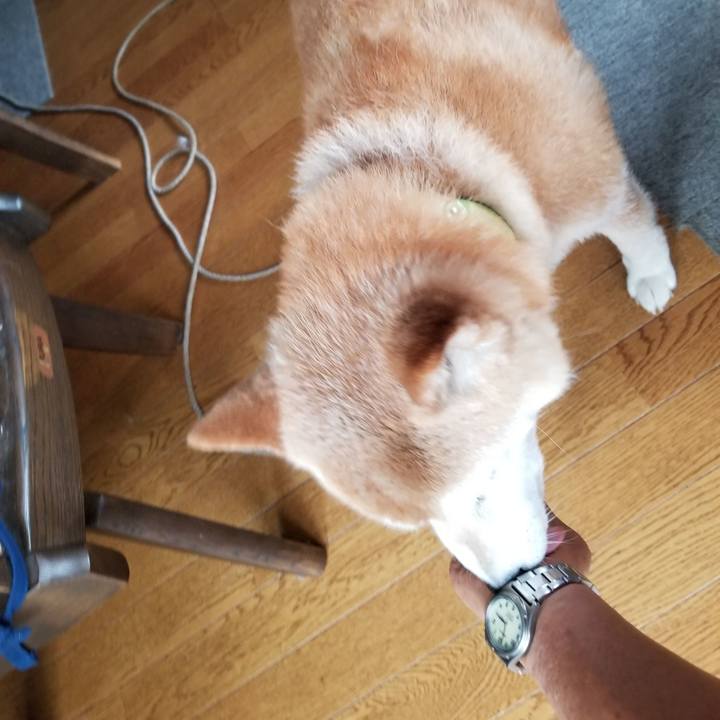 7254fe77 ed0a 49c7 8a31 b23e9d436847 1689055095750