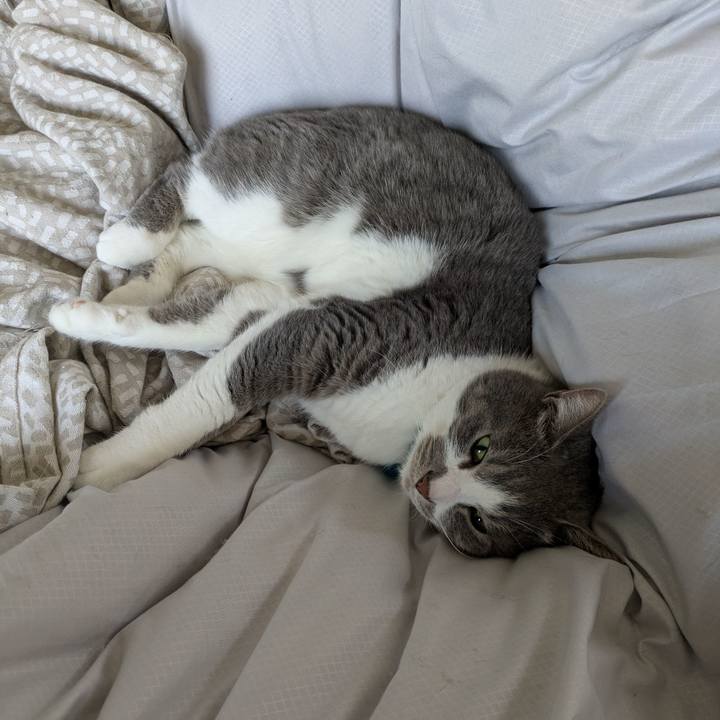 725596ef ae94 44fb a021 cfb613e9489e 1742952423764