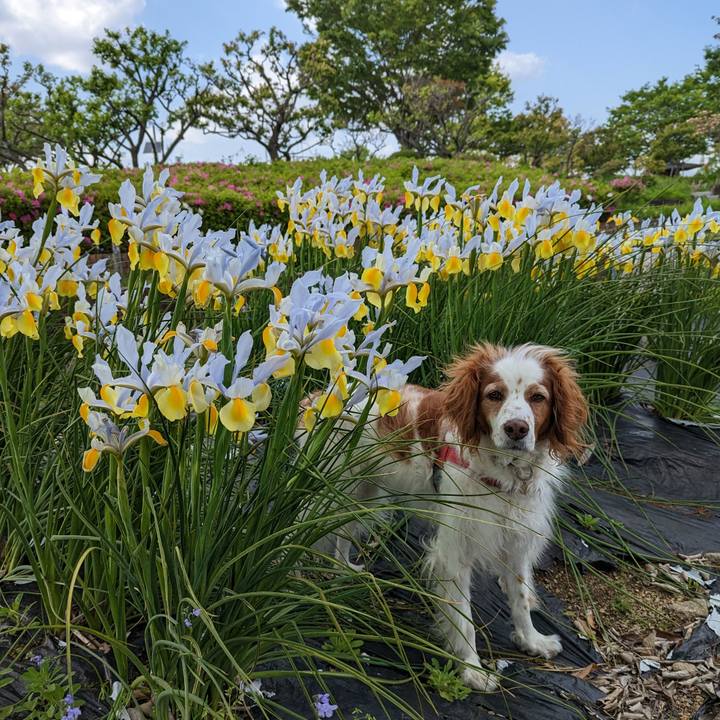 7255b2ef 054c 4bf4 a3fc 191365a44e90 1681717516786