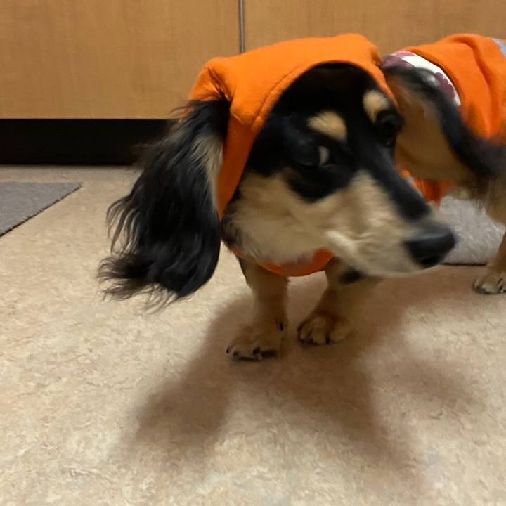 72563d20 319e 4435 bd65 fafaffb9ed2e 1677800010140