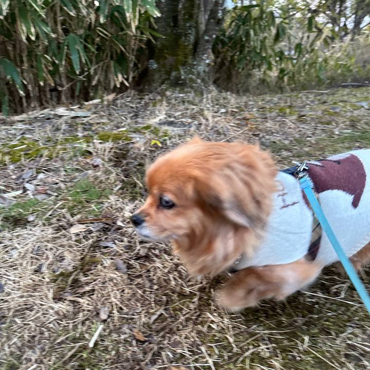 72564406 1804 47cf 83fd 6051970fdb7c 1710451702928