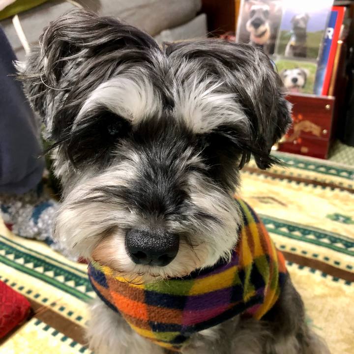 72565b1a 4e21 4e67 9c36 bc1ab59aea5f 1643722469234