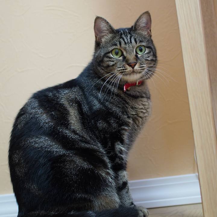 72565ff1 f900 431f 9432 a05ad7118abc 1571997685908