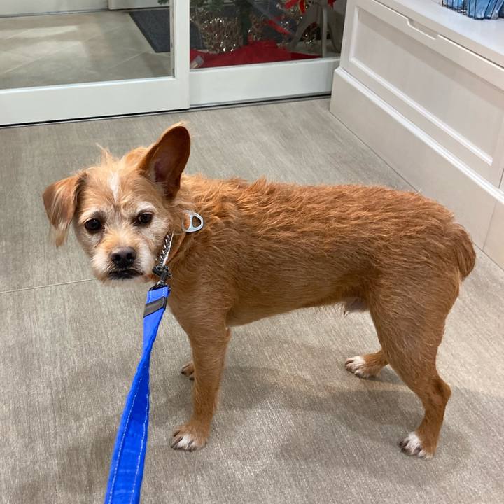 7256c052 b305 4369 ad5d 87b4d4a91c29 1671189073658