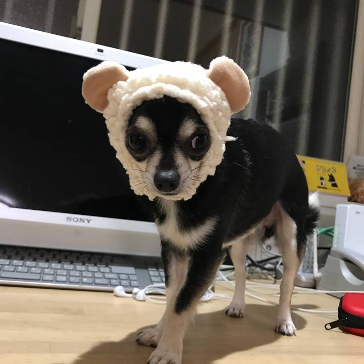 7256c446 b059 4c81 b474 38f24d0d3ab6 1515554587569