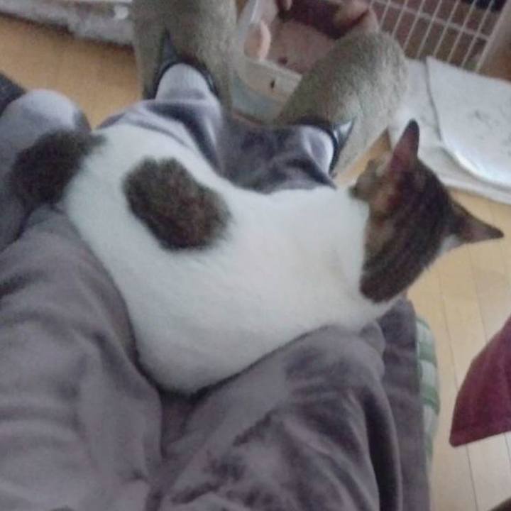 7256ede3 43e4 4e76 9492 63b93a057f61 1676549909362