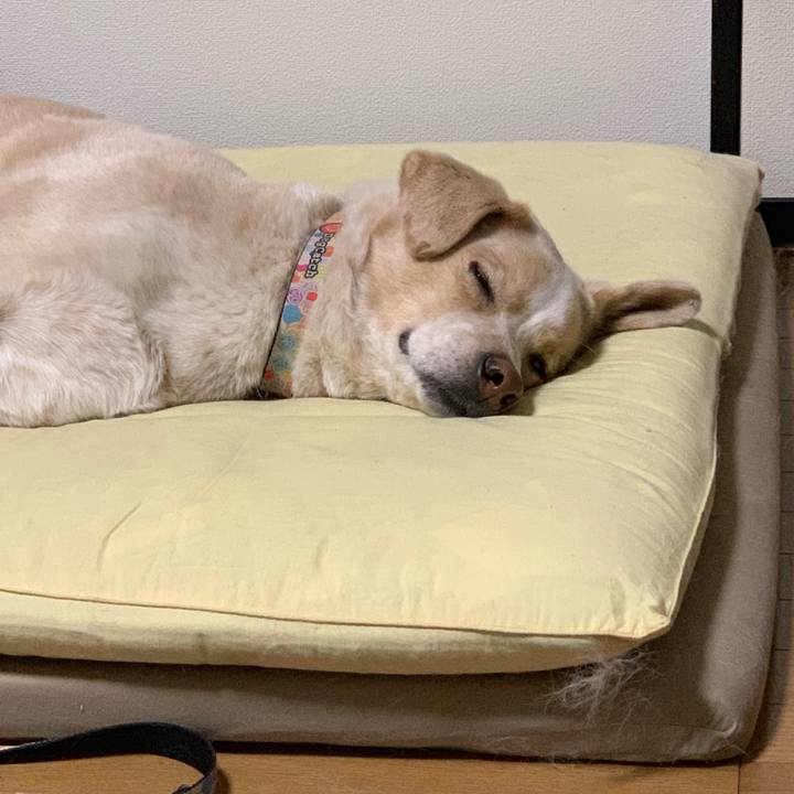 725705dc 0414 4428 8bc7 0ae86498fe58 1549287320544