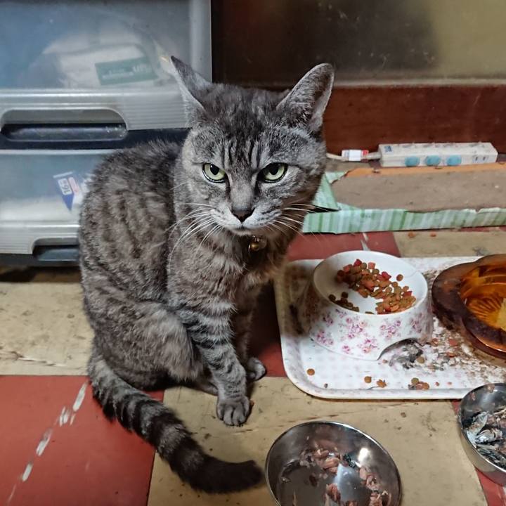 72570761 f3f6 4a9b aba2 c7104da0f891 1569928824990