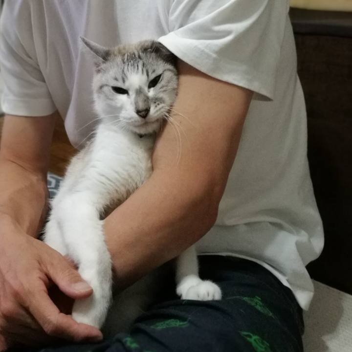 72572820 8fbb 4e05 ba8f bf90d21241af 1526209961872