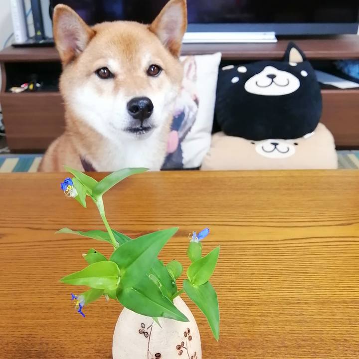 7257566f 3a43 4efe 90b1 435c43a62eb7 1595809360461