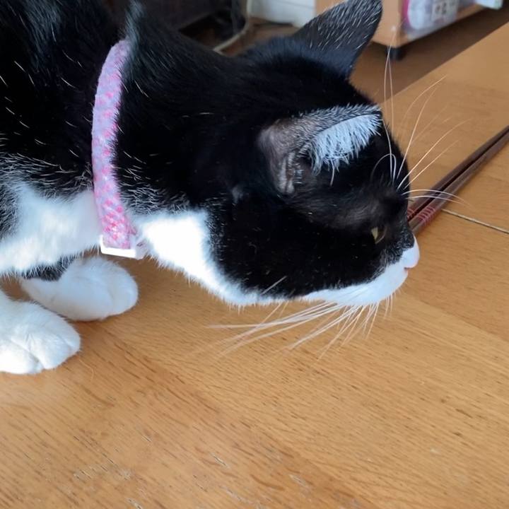 7257699b f38b 45ad 8af7 7926fd482773 1641087245651