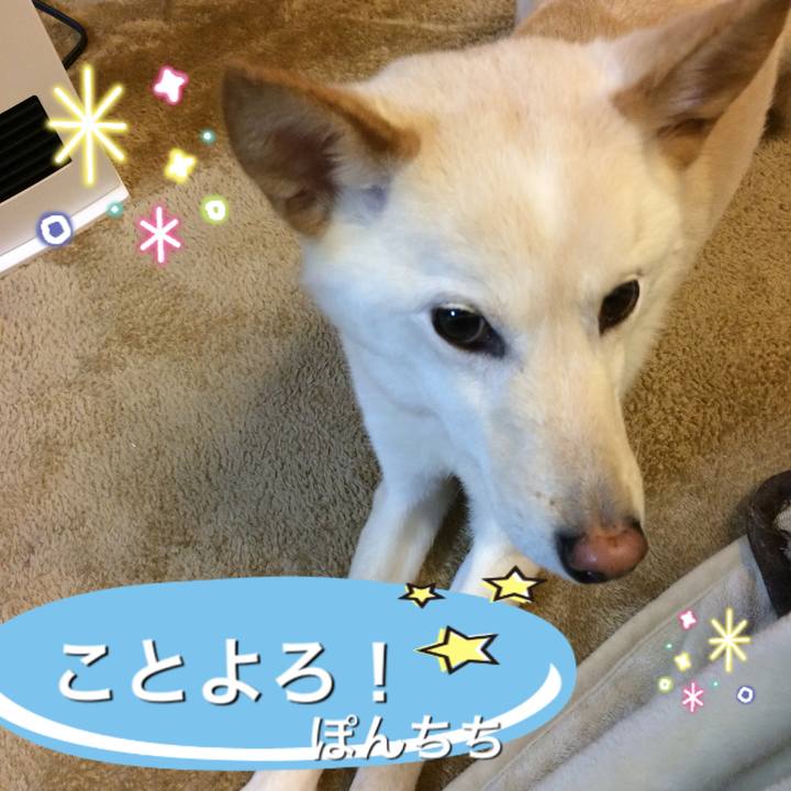 7257aaee d4fb 4971 bd60 2c566b8e08ab 1546340615545