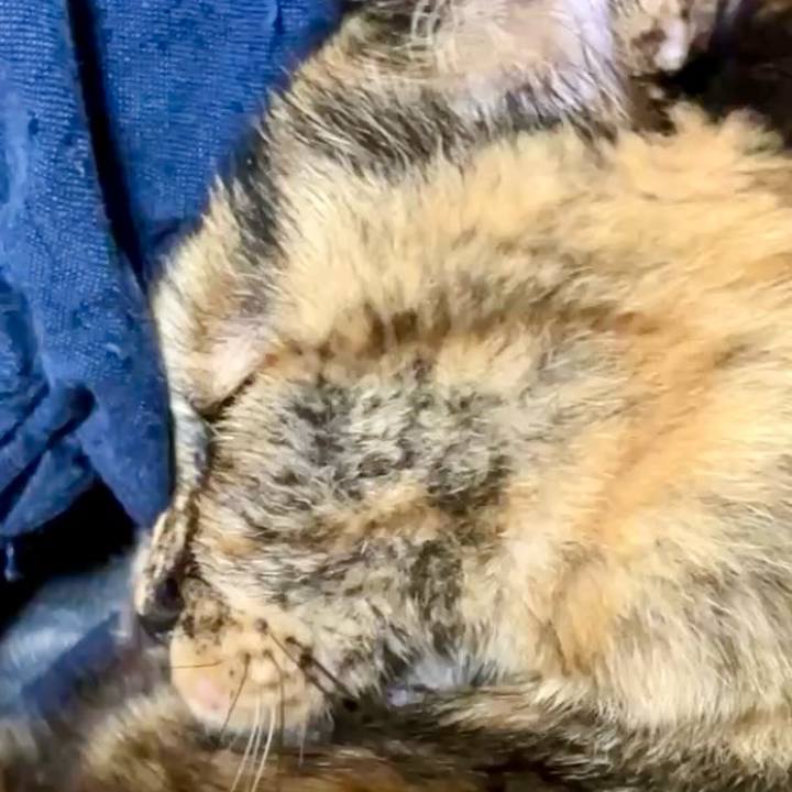 7257b69d 4de2 48da b9ec c0c84f161194 1741869009323