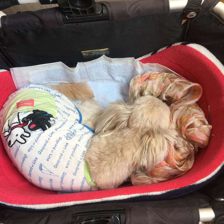 7257ef44 58f6 4b71 be4b 96c0dbb9a75c 1521871347317