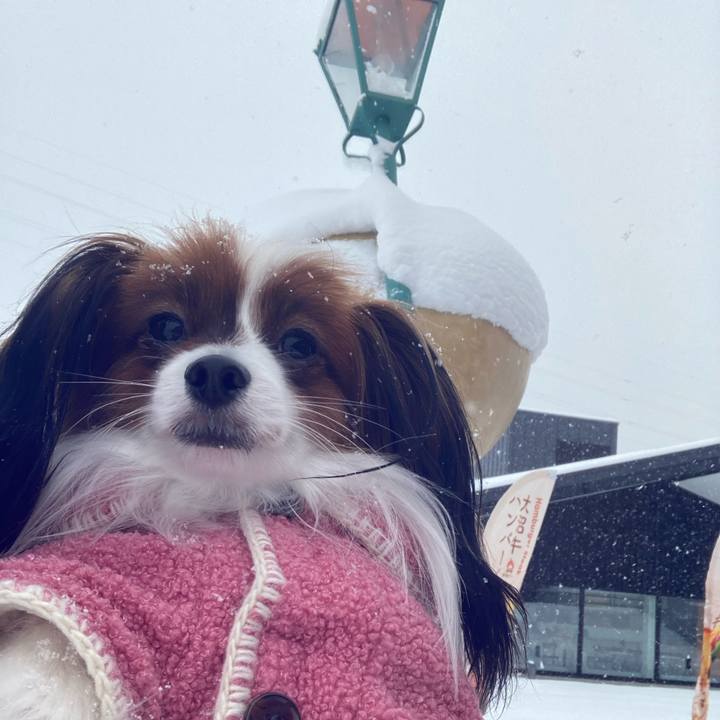 72585cad a9aa 4ea4 81e4 8a0170cae476 1643439861459