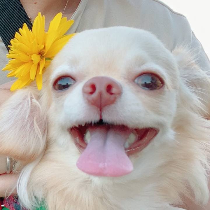 725879bc 5df8 4227 80af a471c31c1179 1627987786808