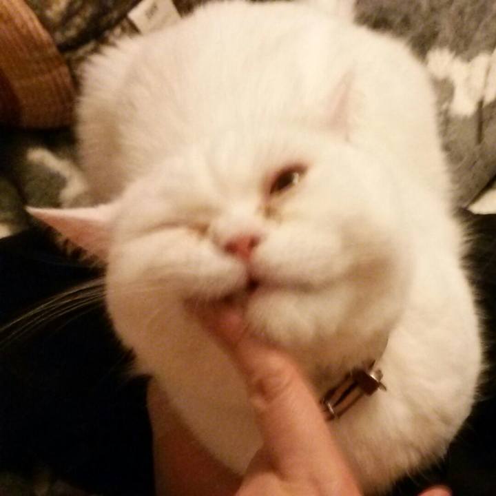 72589e39 11b7 4a42 94f2 6d016de13d7f 1526562481246