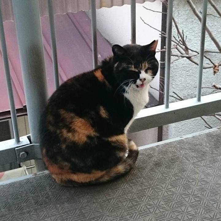 72589ffc 9abd 4972 b7b1 d00f45bb2fc2 1519687150961