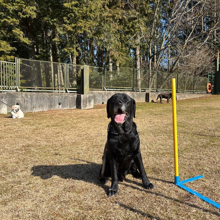 7258b748 4f5d 4abc a26d 22ee48146ccb 1768881463625