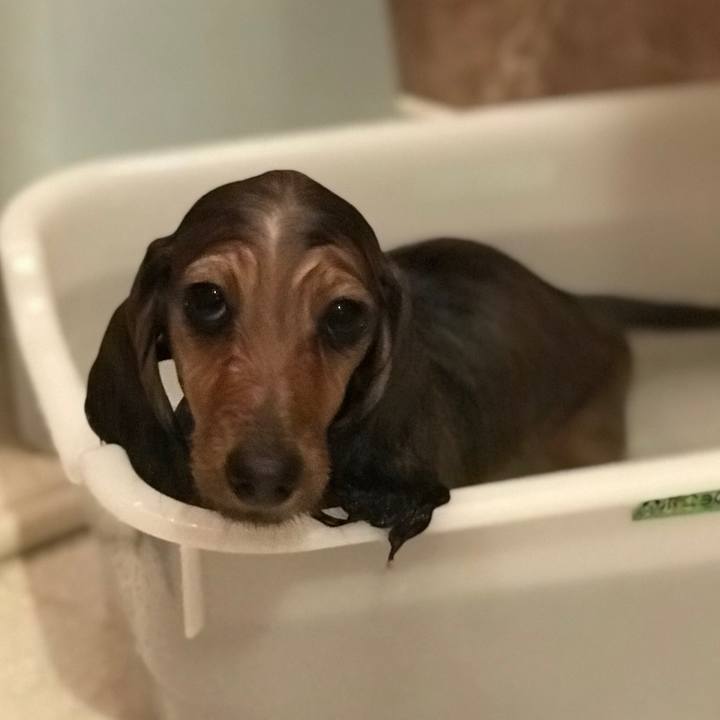 7258cb03 1054 4f56 a740 6e7741f35a4e 1613217077334