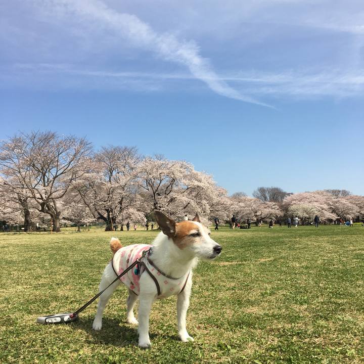 72590817 3a3e 4104 ae72 bbfa2e501b93 1648943348658