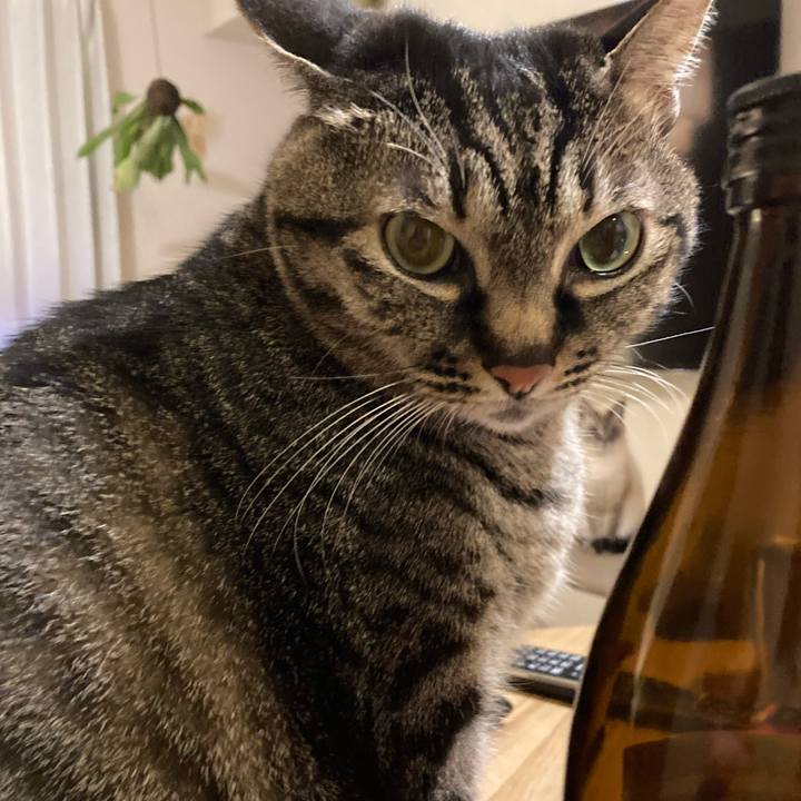 7259133e a428 45d5 be7e 1df0e01e2405 1643893648369